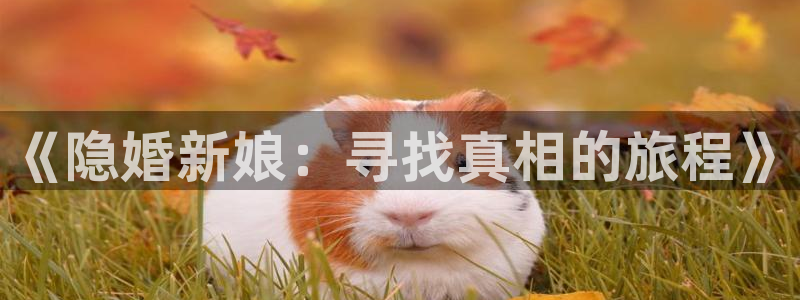 飞飞漫画网页：《隐婚新娘：寻找真相的旅程》