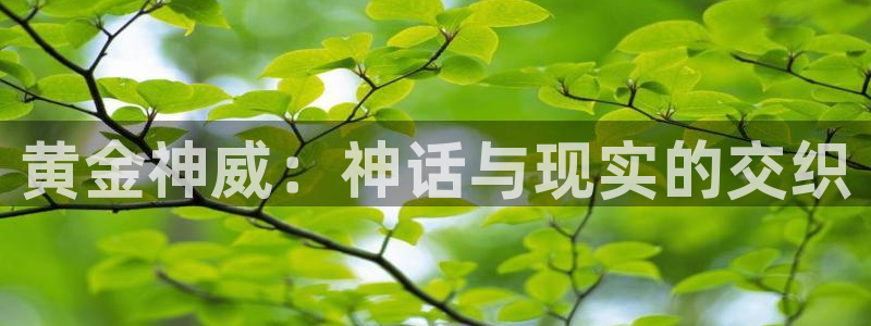 飞飞漫画下载：黄金神威：神话与现实的交织