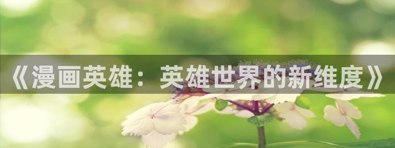 飞飞漫画在线观看免费：《漫画英雄：英雄世界的新维度》